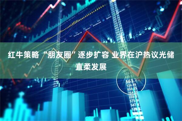 红牛策略 “朋友圈”逐步扩容 业界在沪热议光储直柔发展