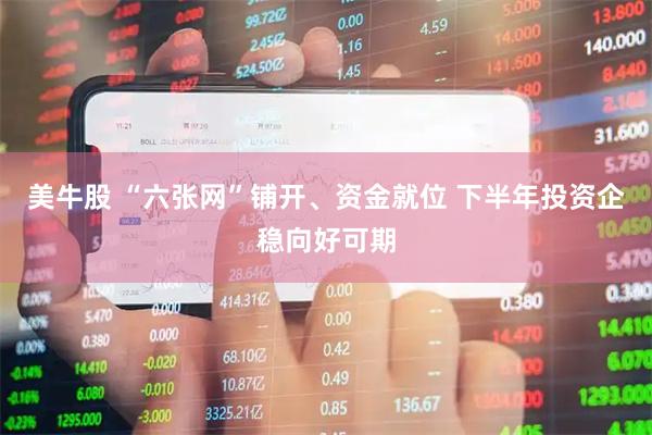 美牛股 “六张网”铺开、资金就位 下半年投资企稳向好可期